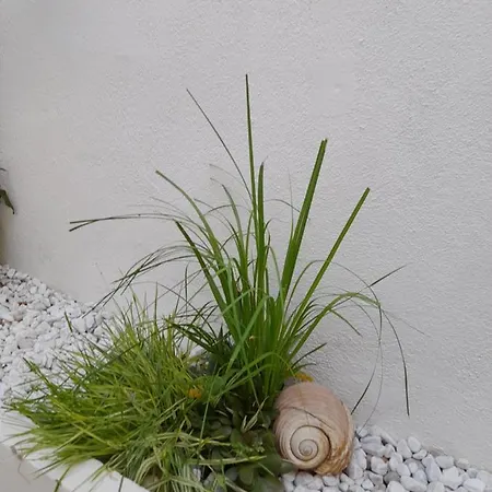 Nautica Апартаменты *